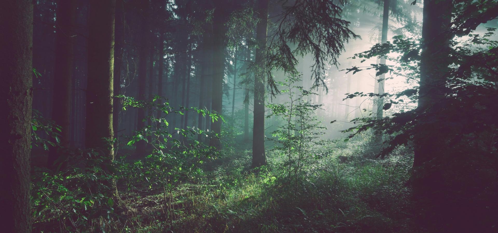 Lorem Ipsum is simply dummy text of the printing and typesetting industry