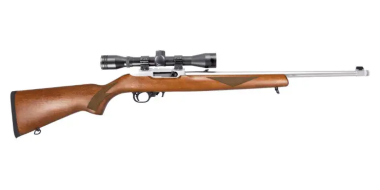 Ruger 10/22 Stainless Sporter Package 22LR 18.5"